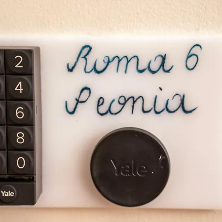 Roma 6 Peonia Genoa